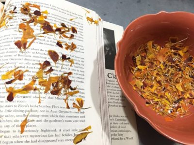 Mary Anne Mohanraj - Dried Marigold Petals