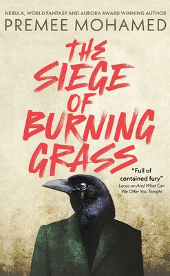 Cover of The Siege of Burning Grass, featuring a person with a crow's or raven's head, wearing a jacket.