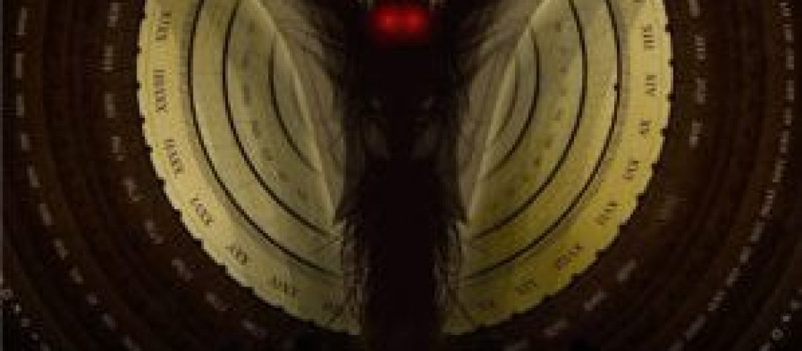 The-Curiosity-Killers Cover