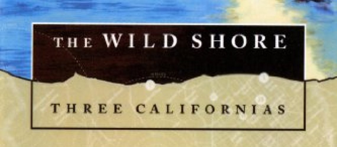 The Wild Shore by Kim Stanley Robinson