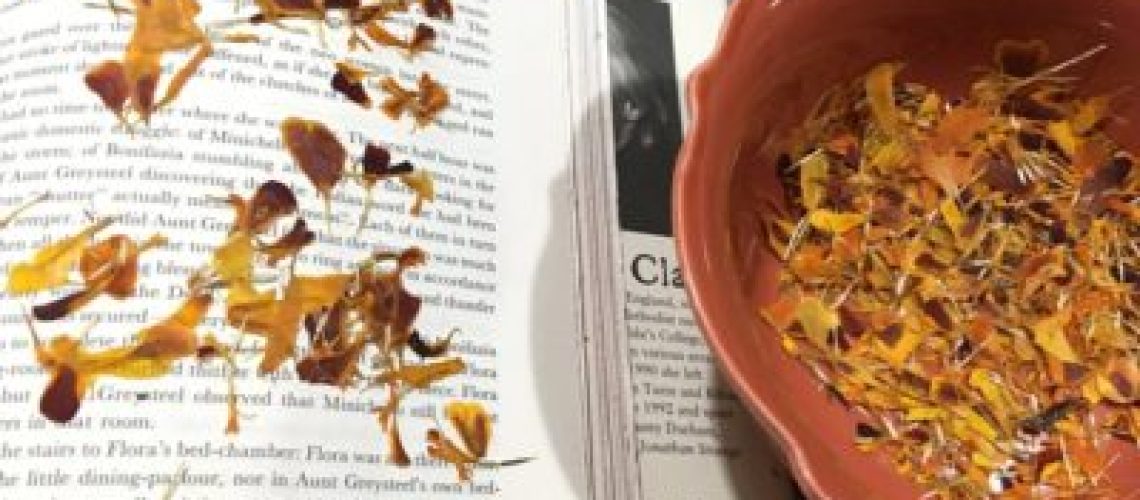 Mary Anne Mohanraj - Dried Marigold Petals