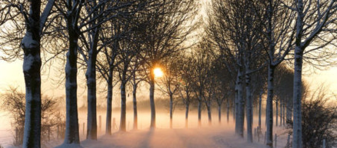 misty winter