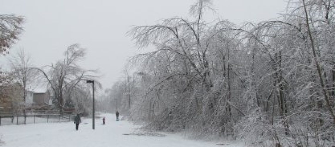 snowphoto